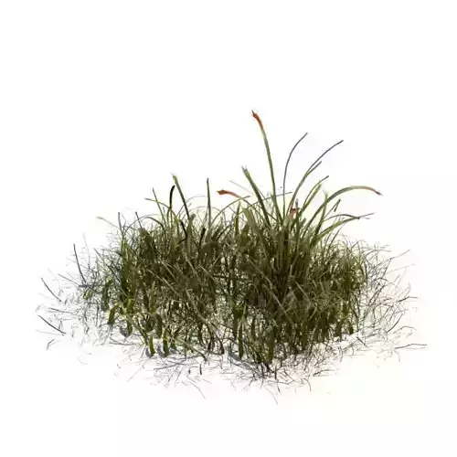 Model Simple Grass