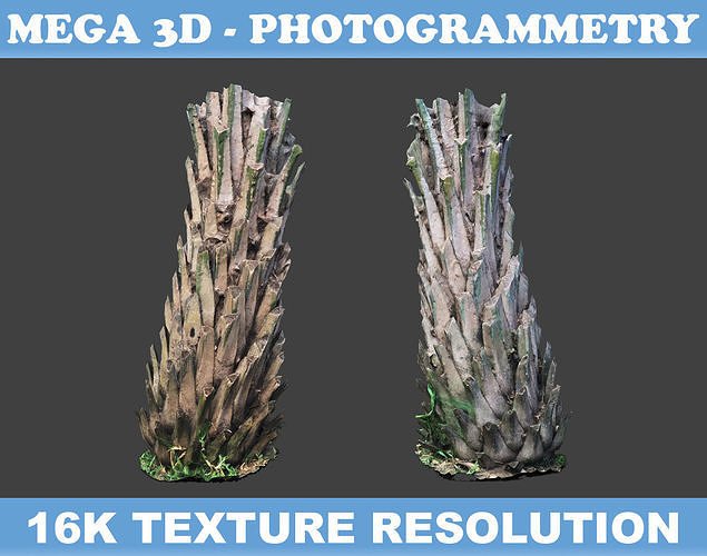 Low poly Oil Palm Trunk 04 - Photogrammetry Low-poly 3D model