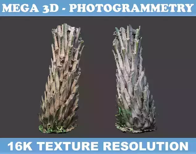 Low poly Oil Palm Trunk 04 - Photogrammetry