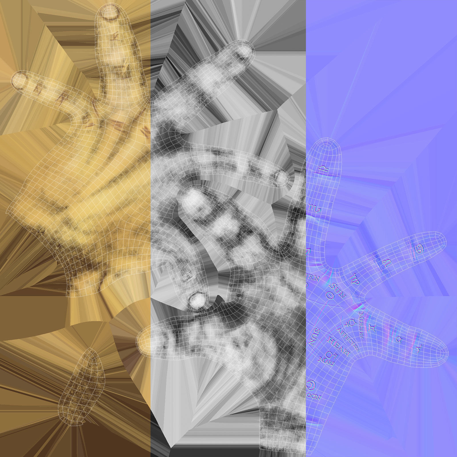 Palmistry Hand  Low-poly 3D model_10