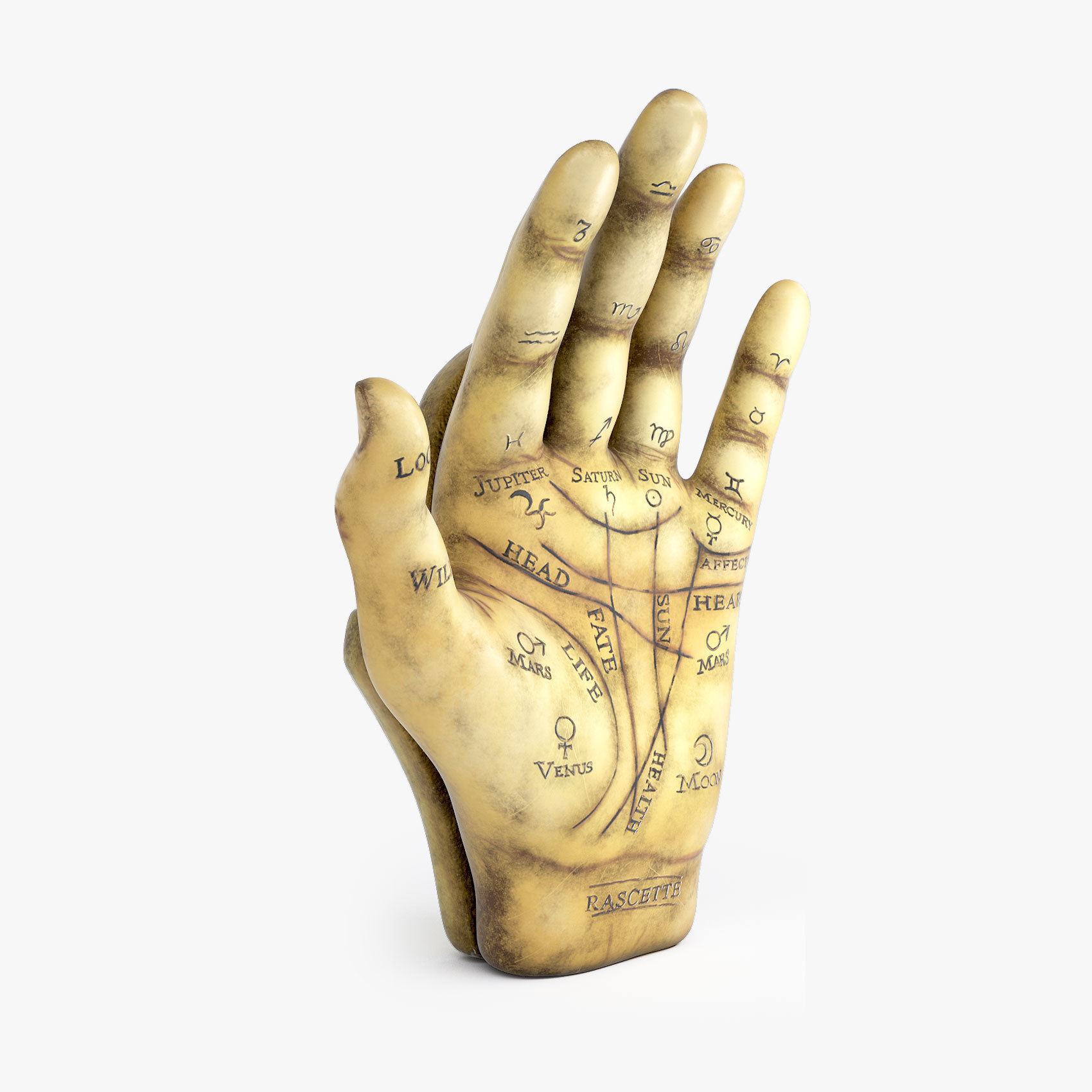 Palmistry Hand  Low-poly 3D model_3