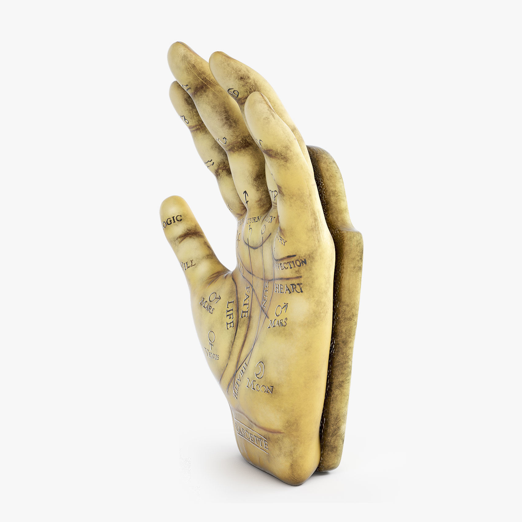 Palmistry Hand  Low-poly 3D model_2