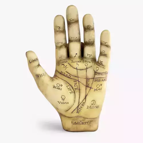 Palmistry Hand  Low-poly 3D model