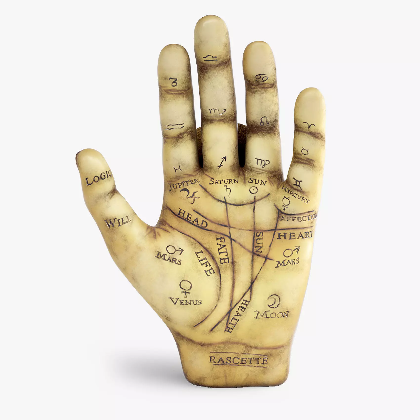 Palmistry Hand  Low-poly 3D model_0