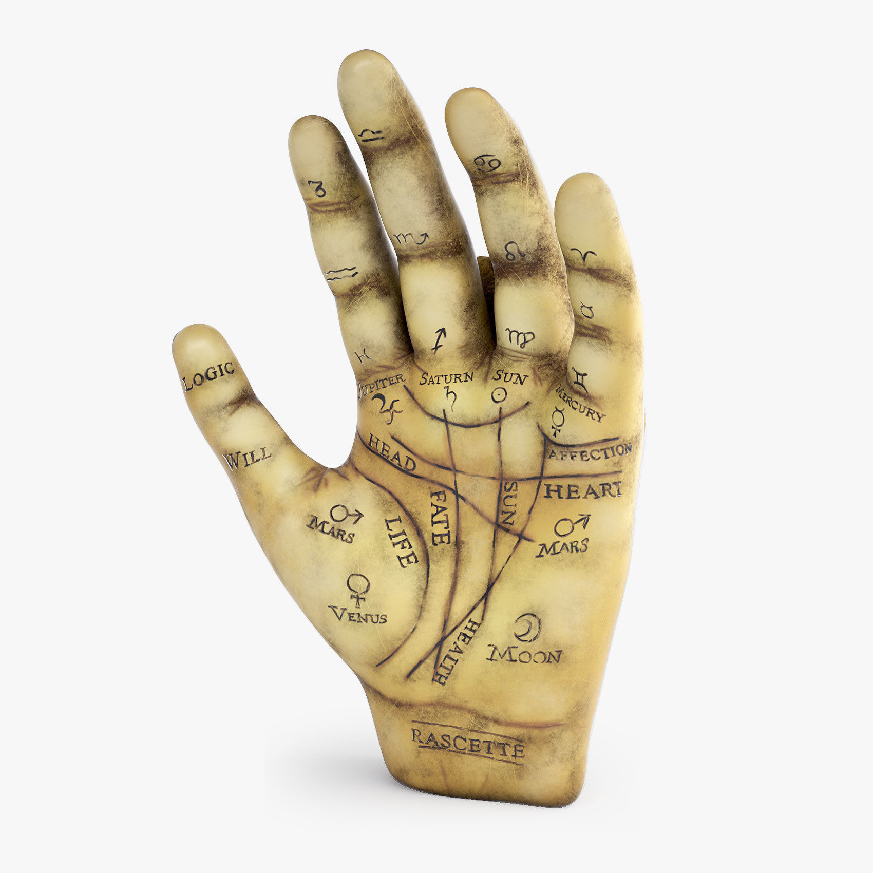 Palmistry Hand  Low-poly 3D model_1