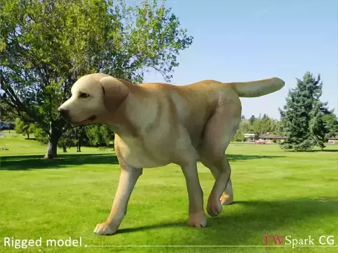 Low poly Labrador Dog Model Rigged