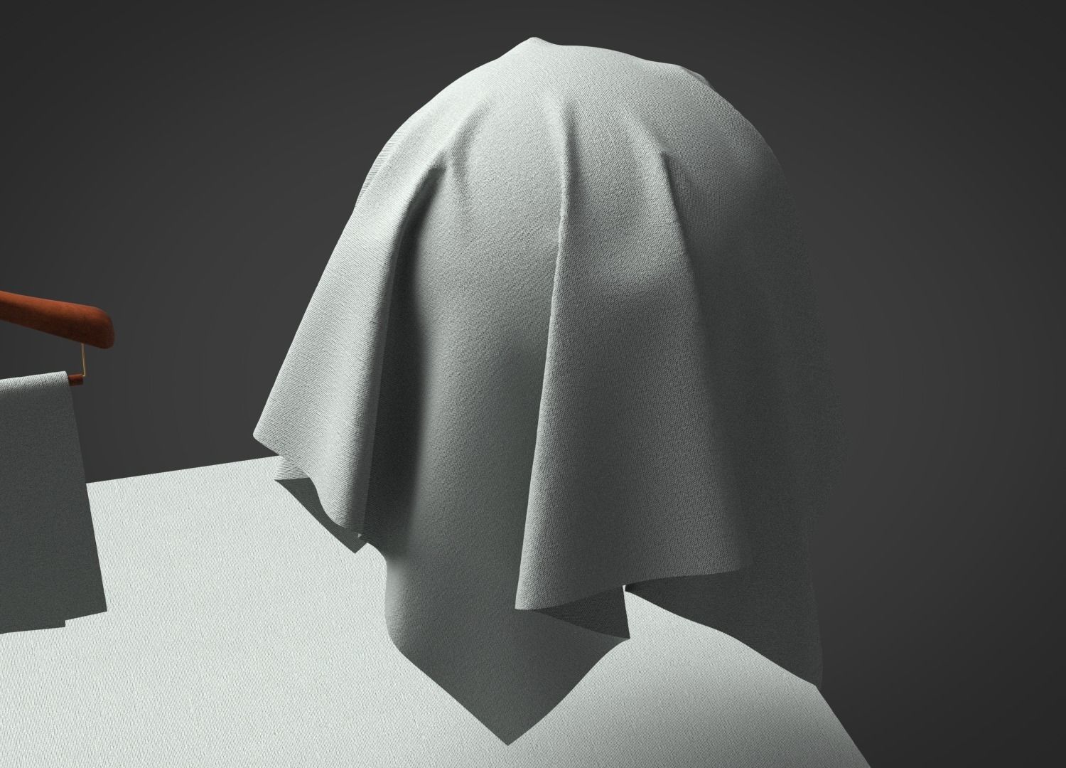 Cotton Canvas Fabric 3D model_4