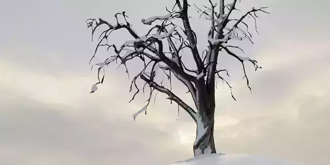 Photorealistic Snow Covered Apple Trees Low-poly 3D model