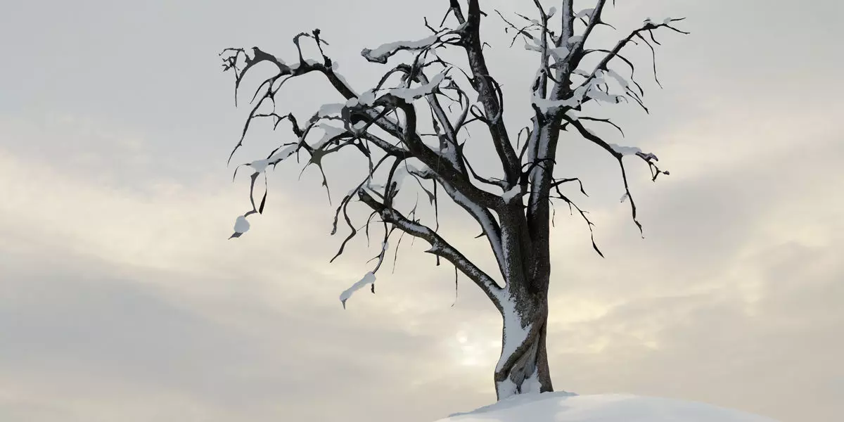 Photorealistic Snow Covered Apple Trees Low-poly 3D model_0