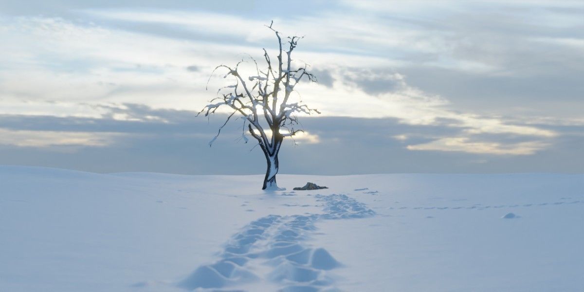 Photorealistic Snow Covered Apple Trees Low-poly 3D model_6