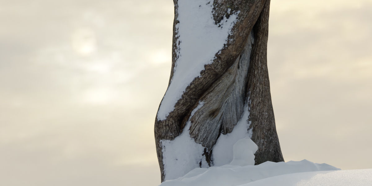 Photorealistic Snow Covered Apple Trees Low-poly 3D model_7