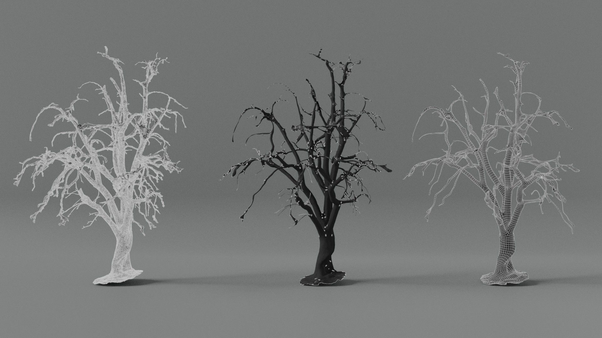Photorealistic Snow Covered Apple Trees Low-poly 3D model_3