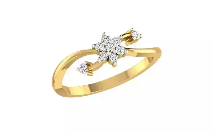 Light weight ring model 