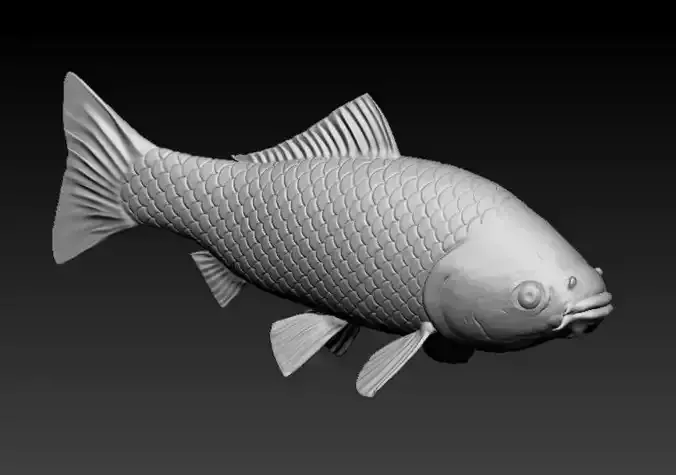 KOI FISH - Ready for 3d print