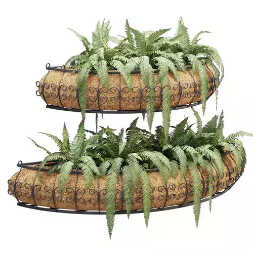 Parisian two wrought iron planters with ferns