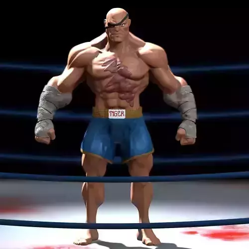 Sagat from Streetfighter