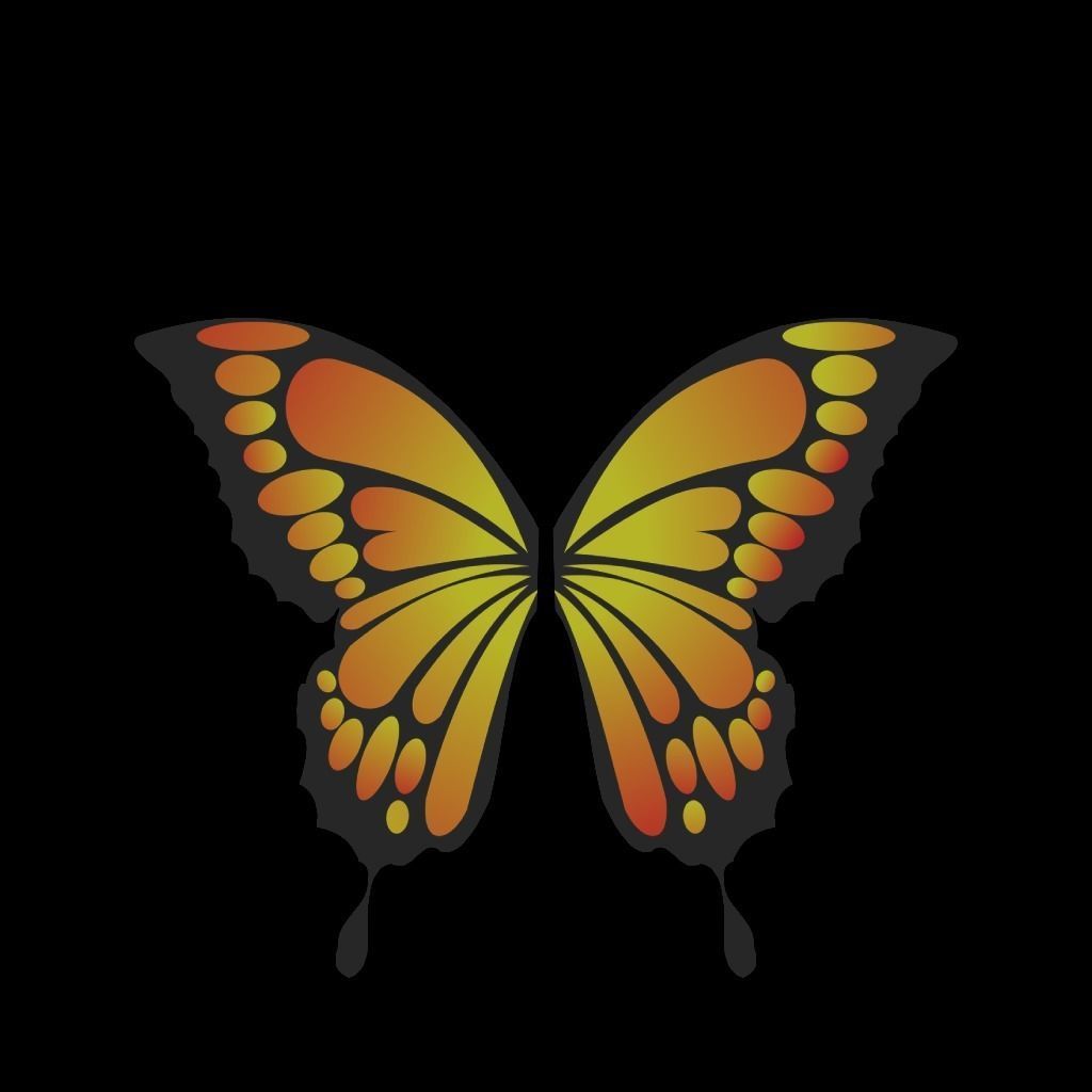 Rigged And Animated Butterfly 3D model_13