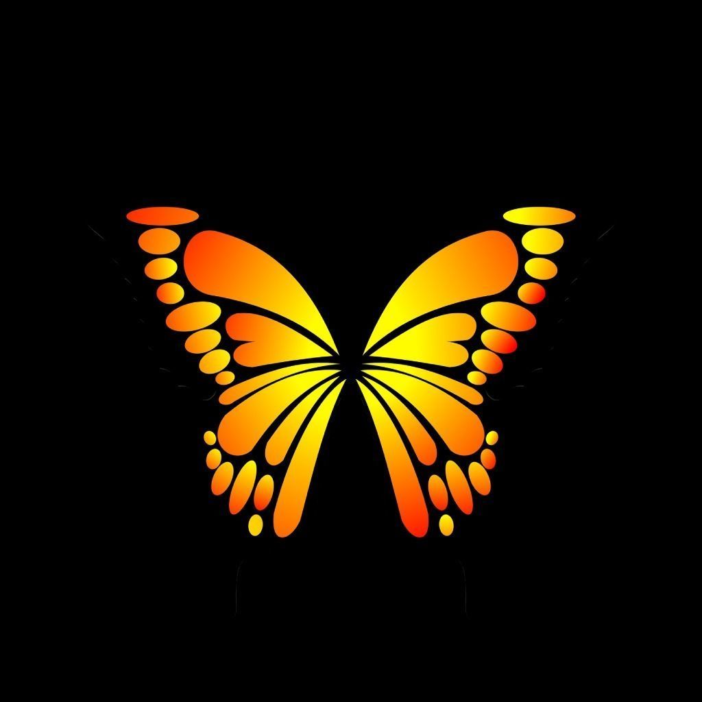 Rigged And Animated Butterfly 3D model_14