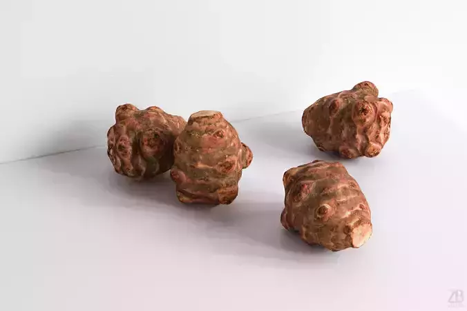 Topinambur 3D model