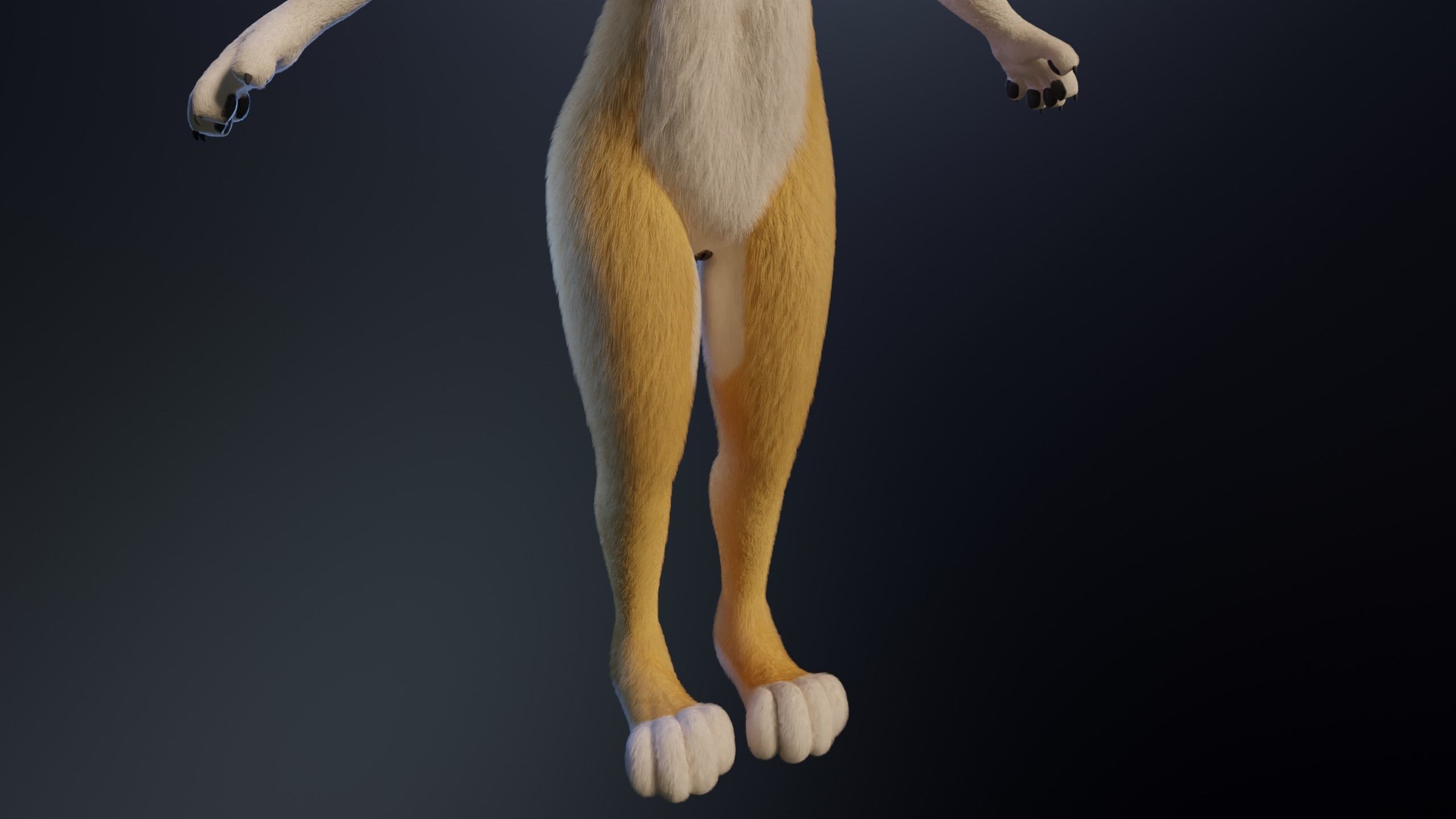 Nara Anthro Fox 3D model_8
