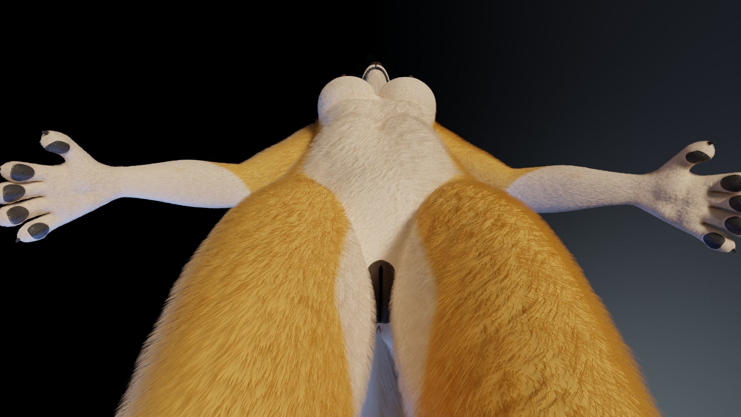 Nara Anthro Fox 3D model_14