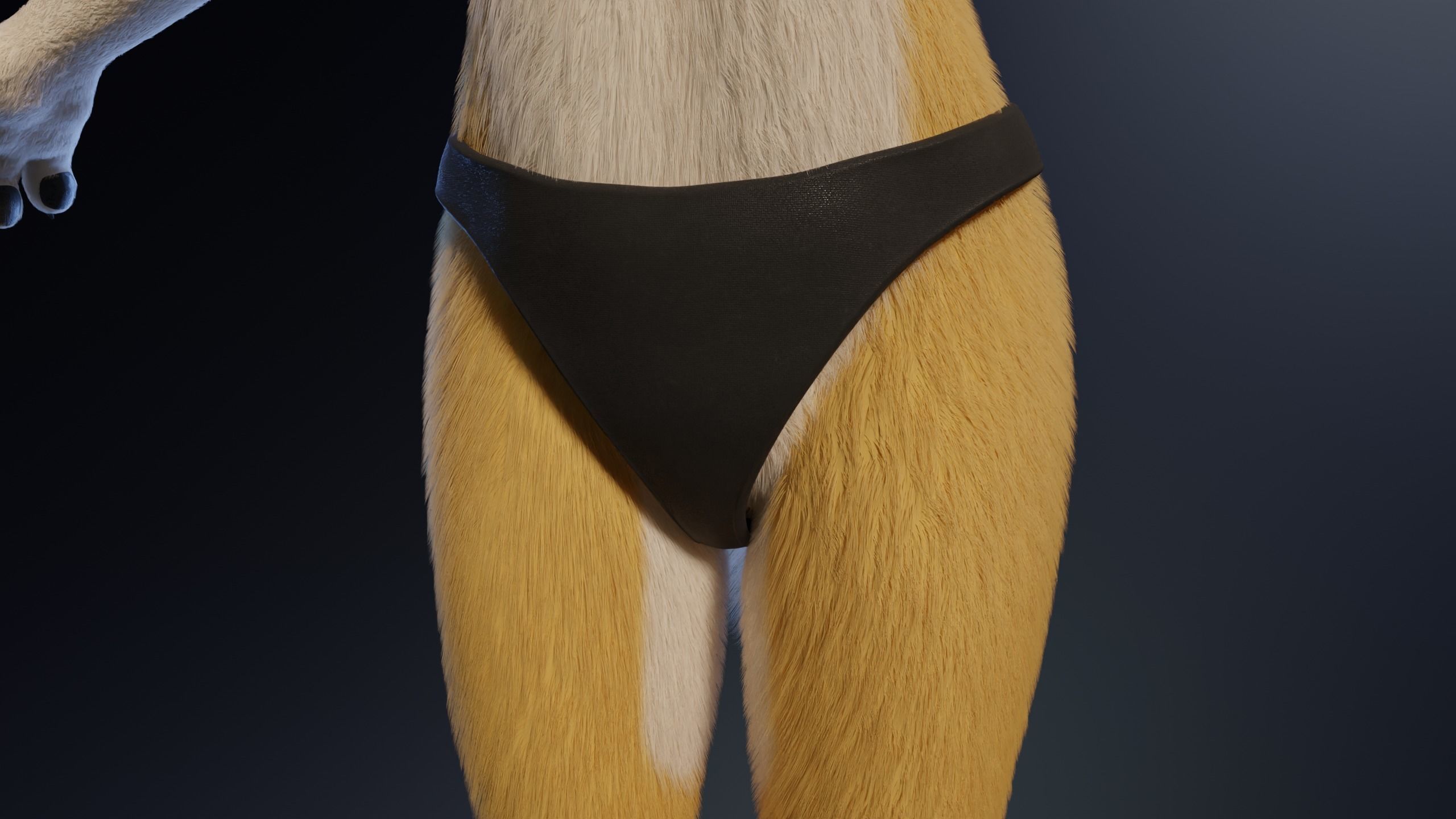 Nara Anthro Fox 3D model_21