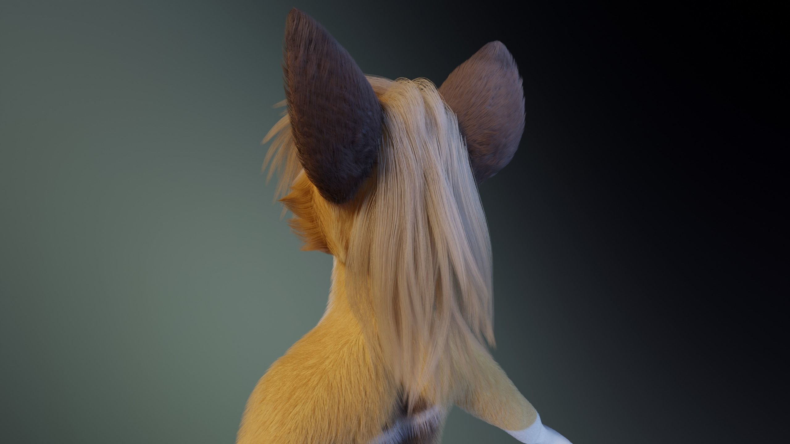 Nara Anthro Fox 3D model_5