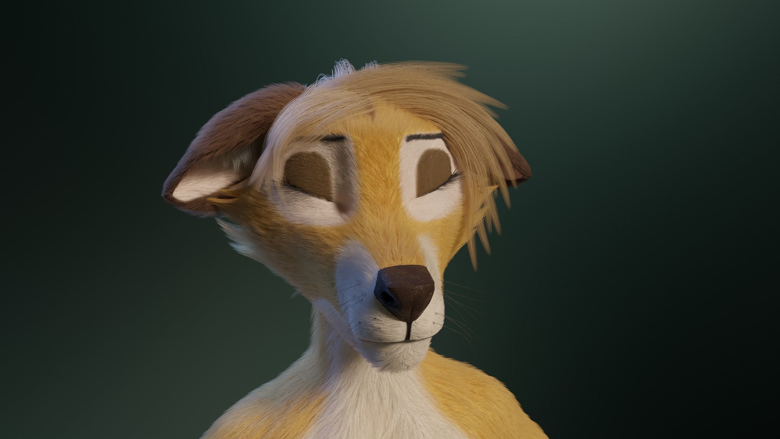 Nara Anthro Fox 3D model_33