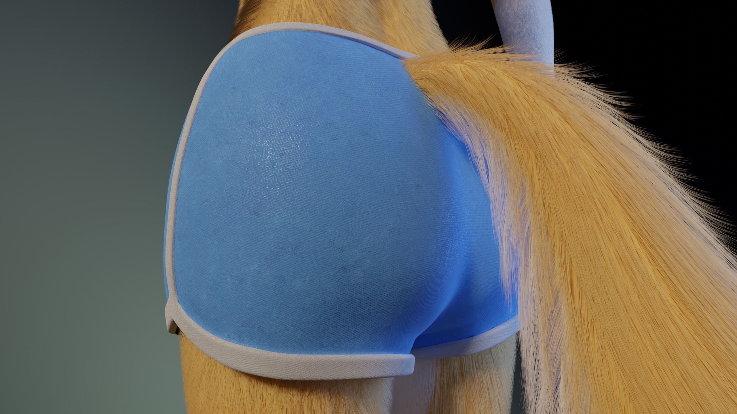 Nara Anthro Fox 3D model_26