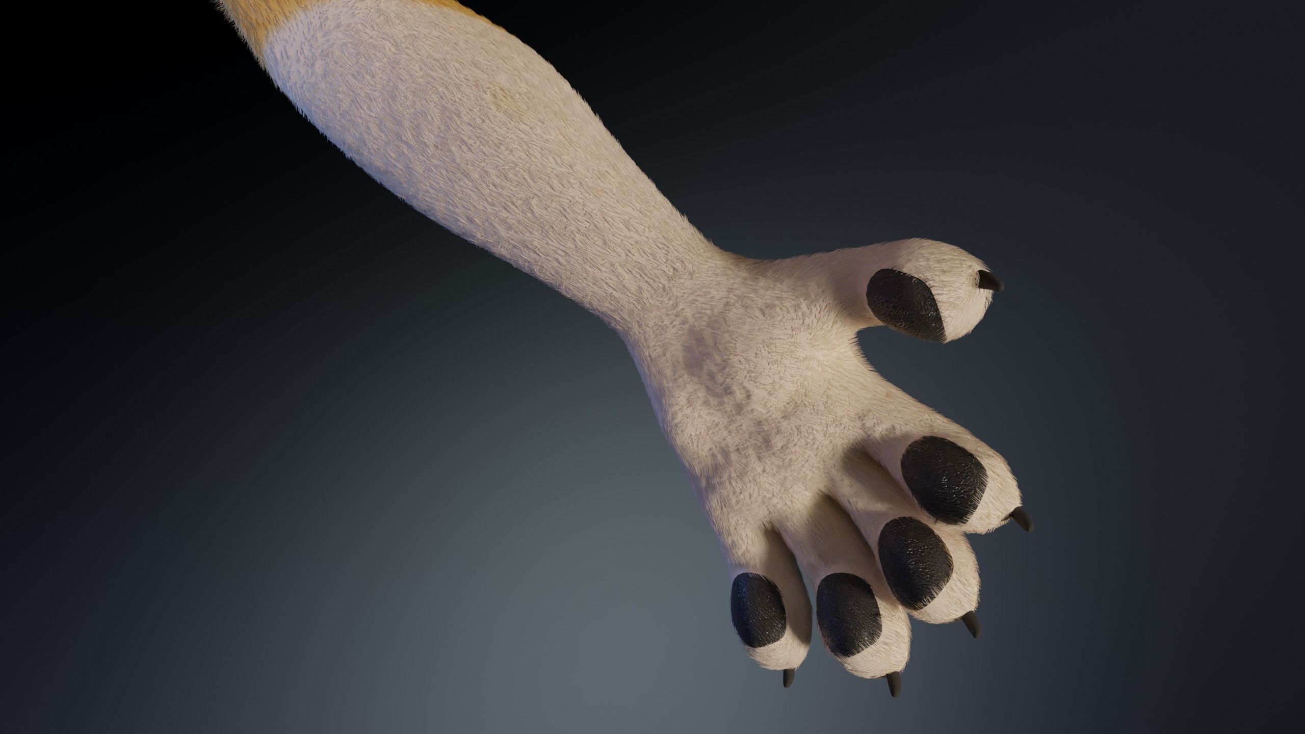 Nara Anthro Fox 3D model_12