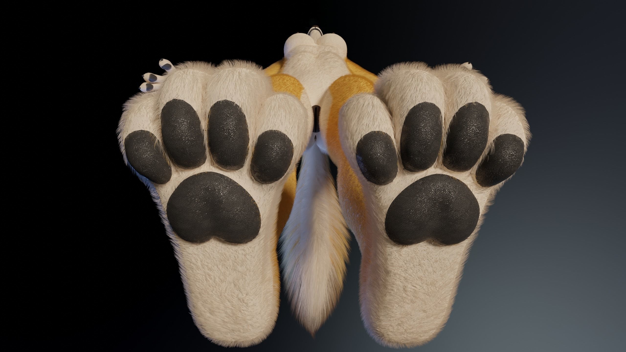 Nara Anthro Fox 3D model_13