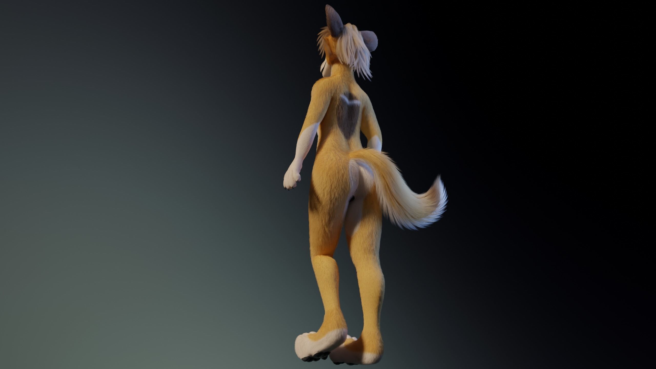 Nara Anthro Fox 3D model_19