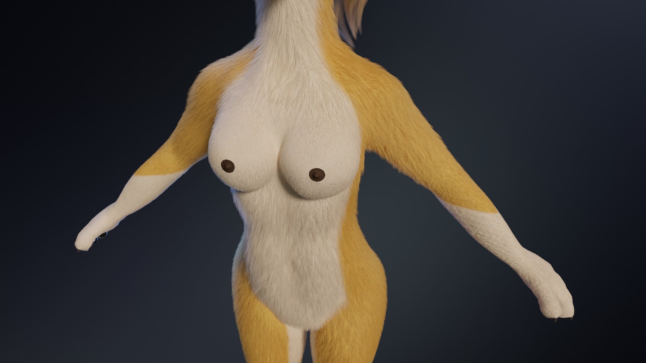Nara Anthro Fox 3D model_6
