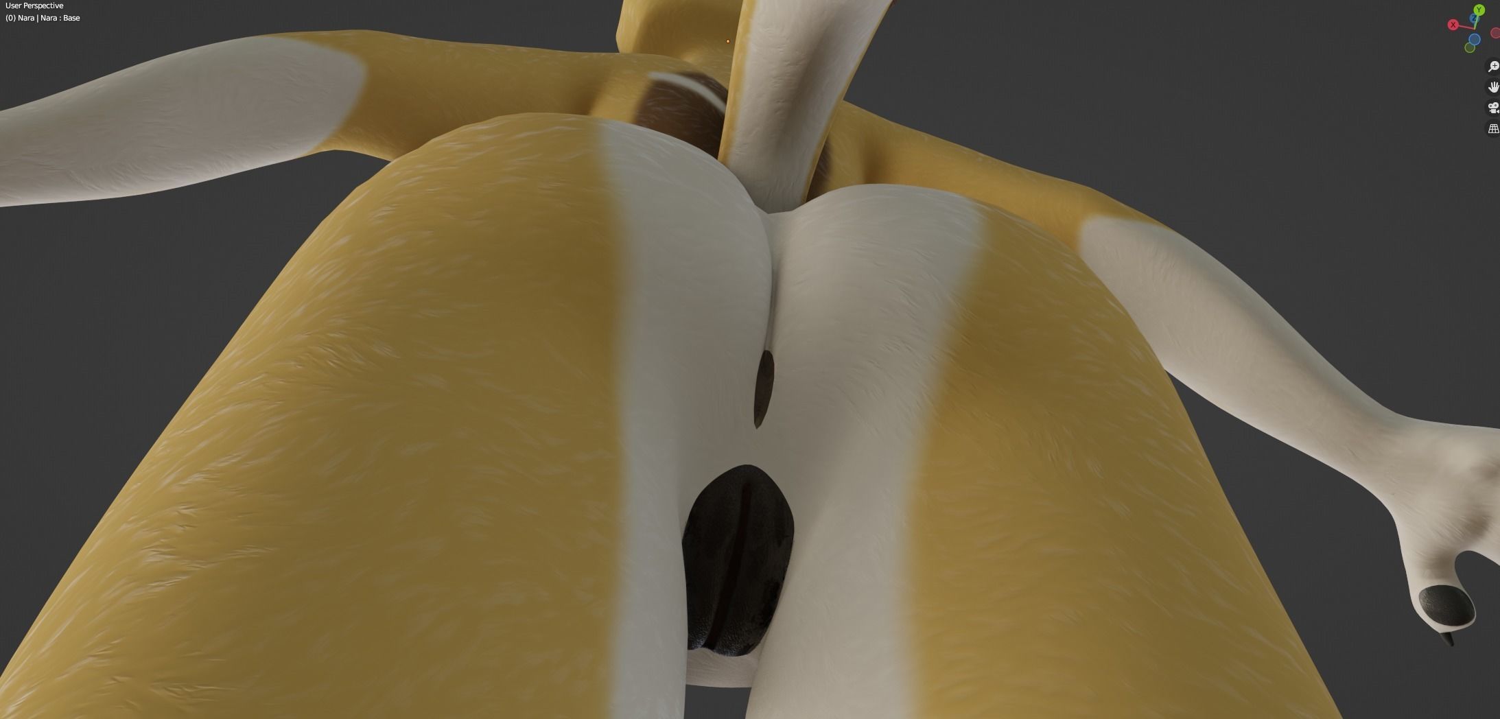 Nara Anthro Fox 3D model_50