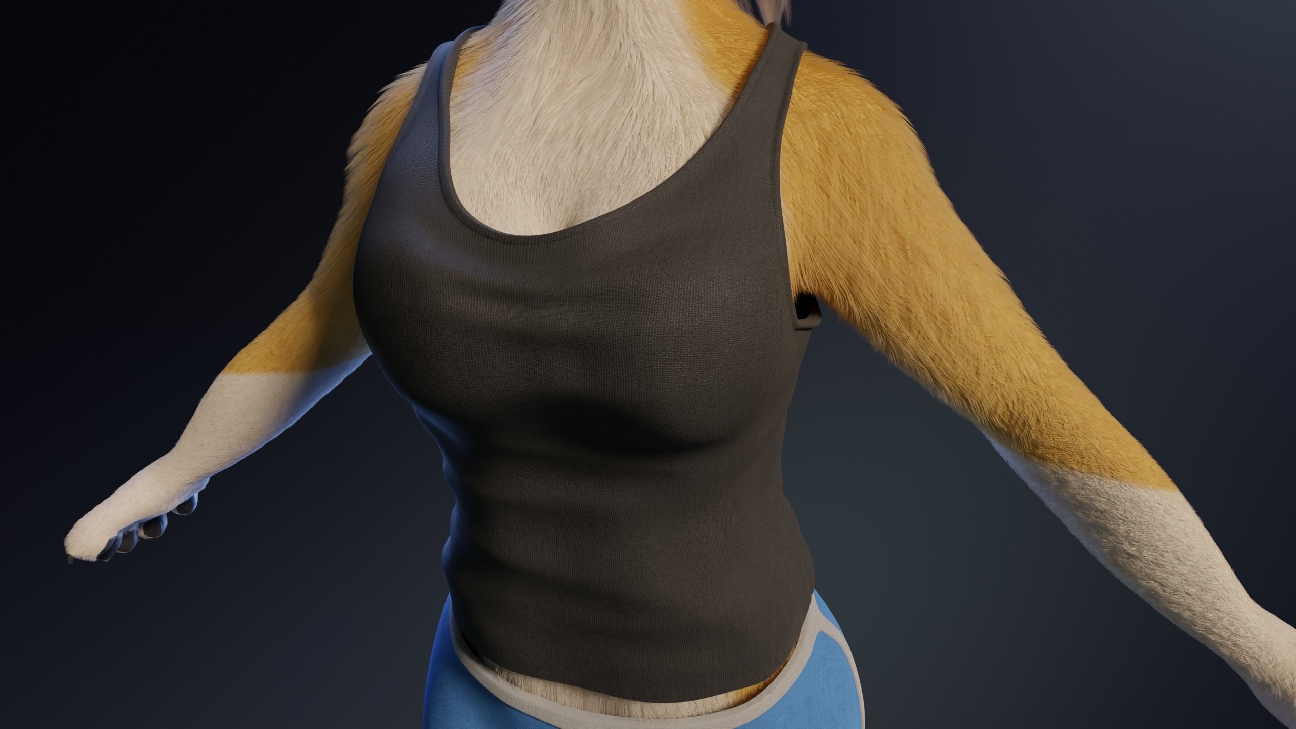 Nara Anthro Fox 3D model_27