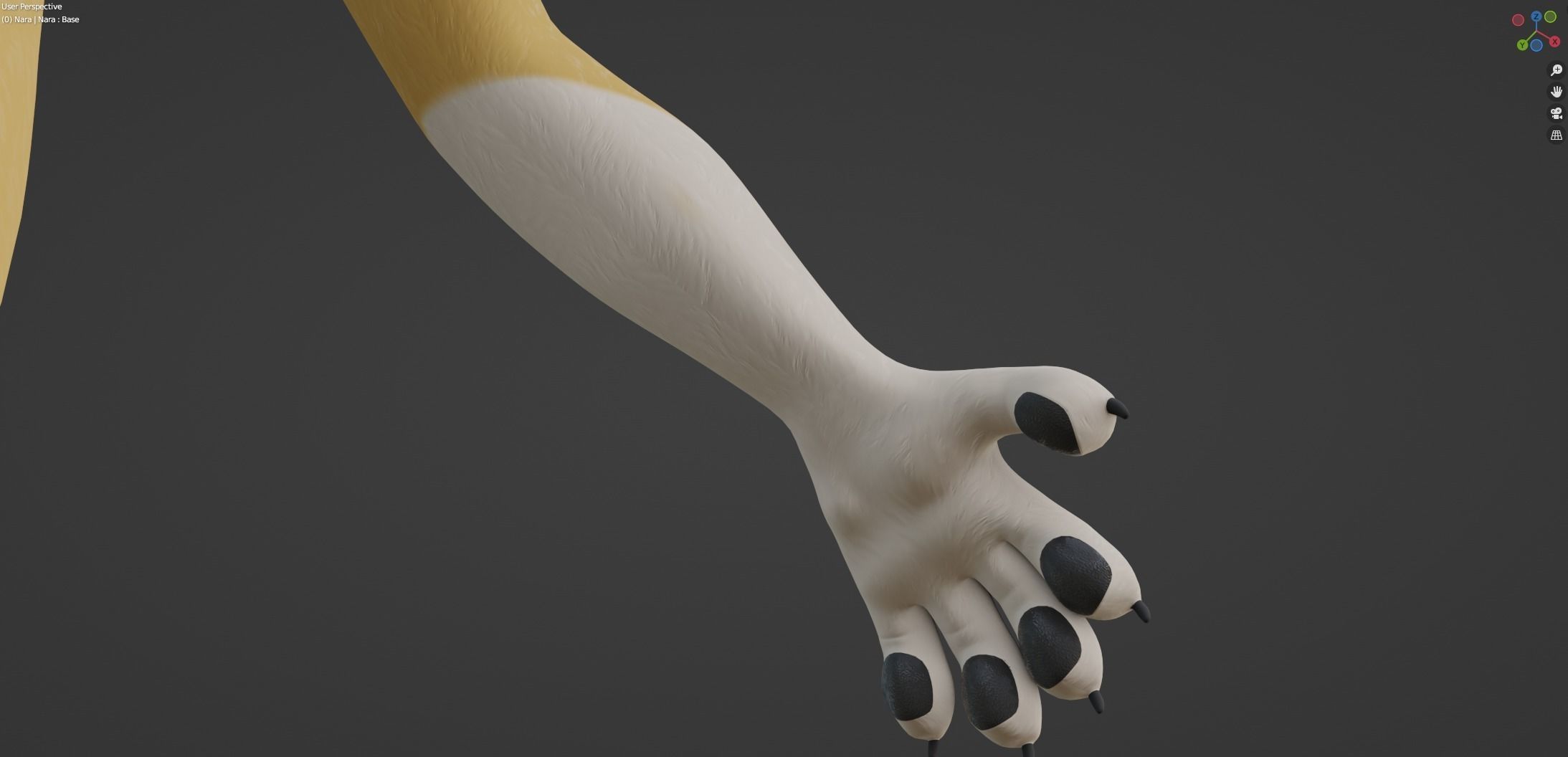 Nara Anthro Fox 3D model_48