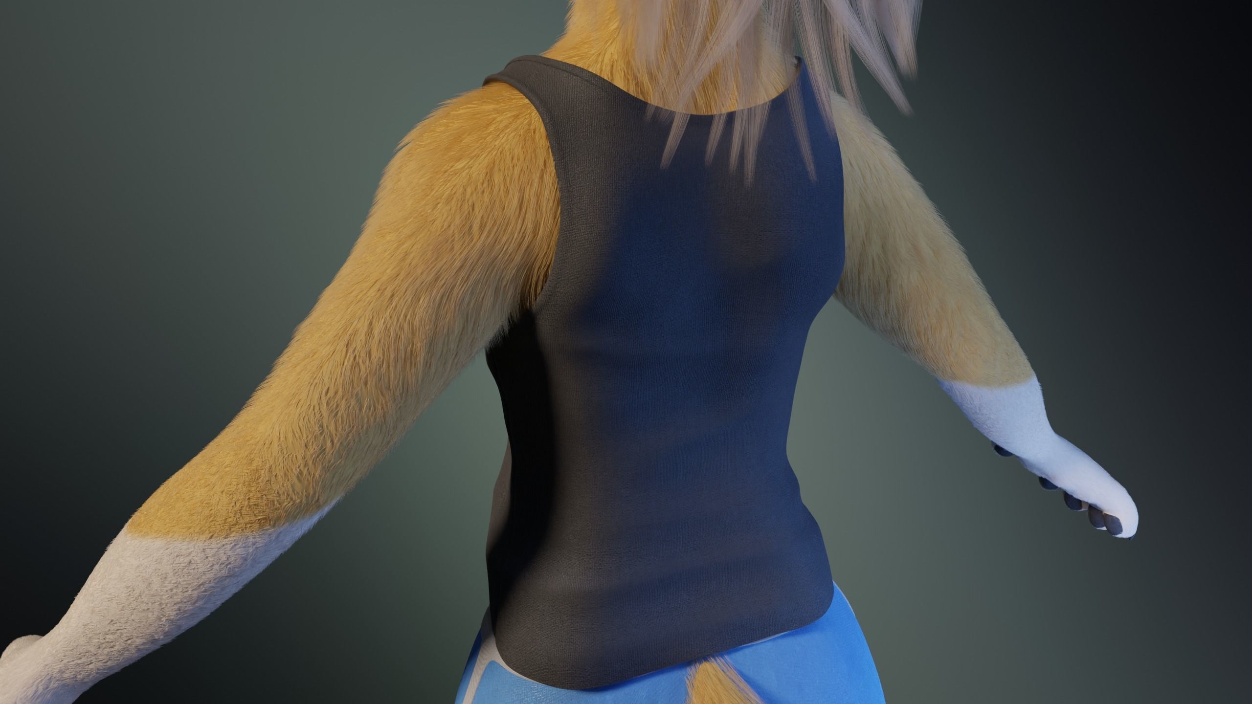 Nara Anthro Fox 3D model_28
