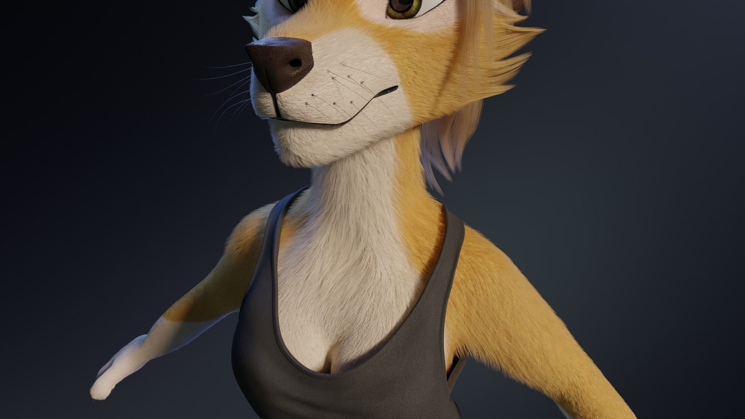 Nara Anthro Fox 3D model_29