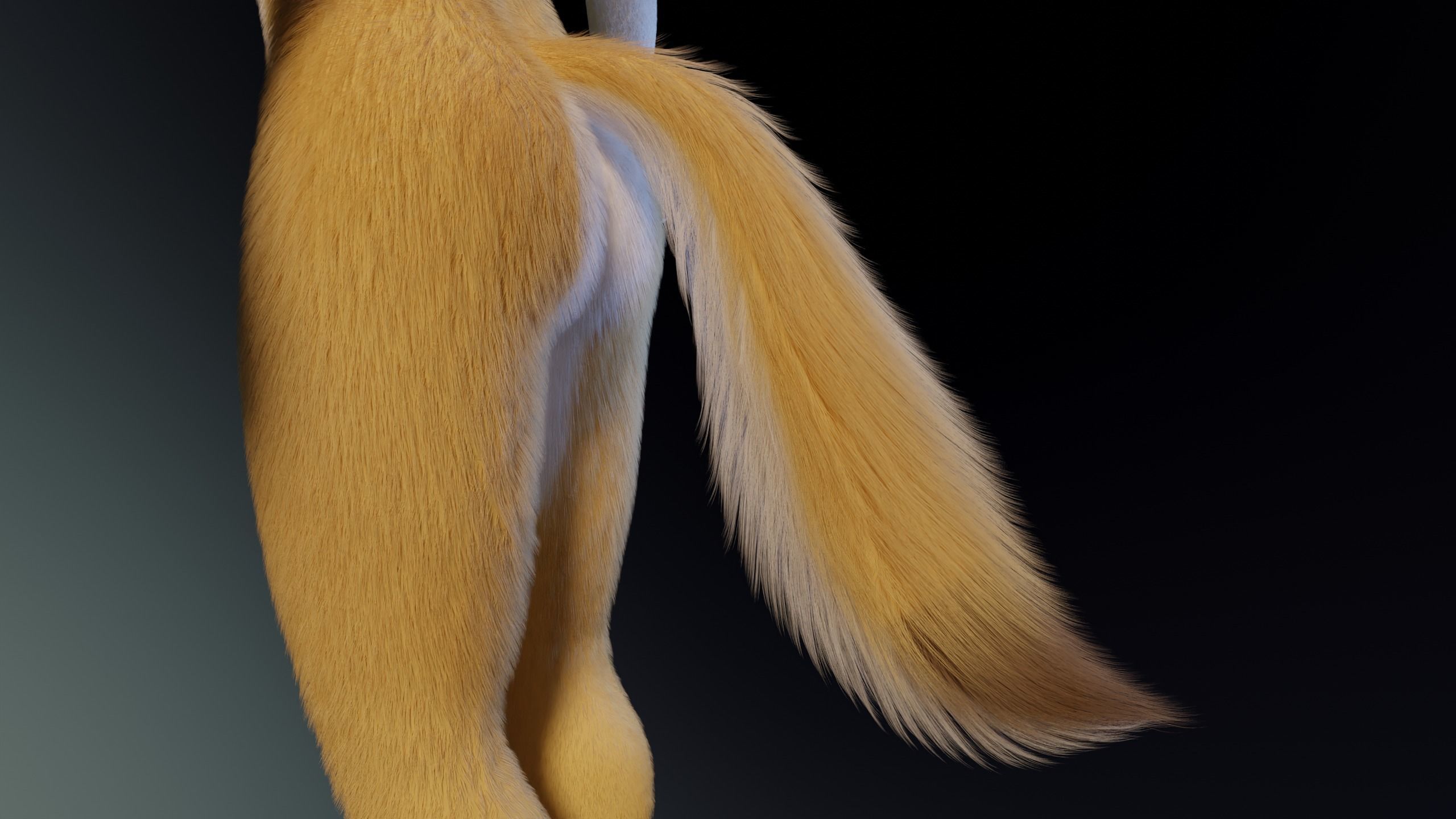 Nara Anthro Fox 3D model_10