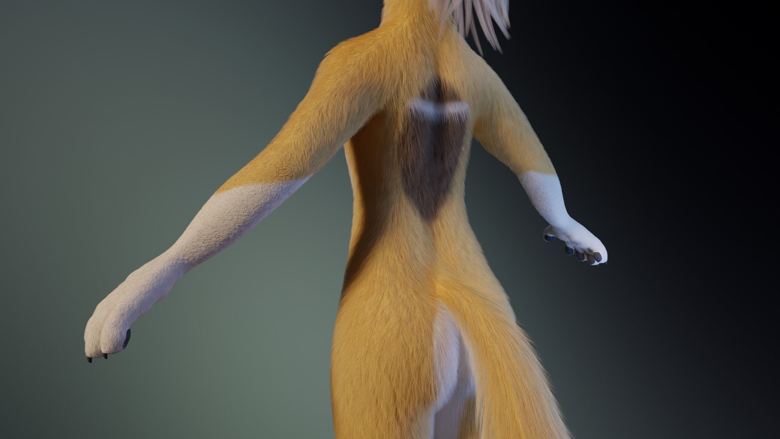 Nara Anthro Fox 3D model_7