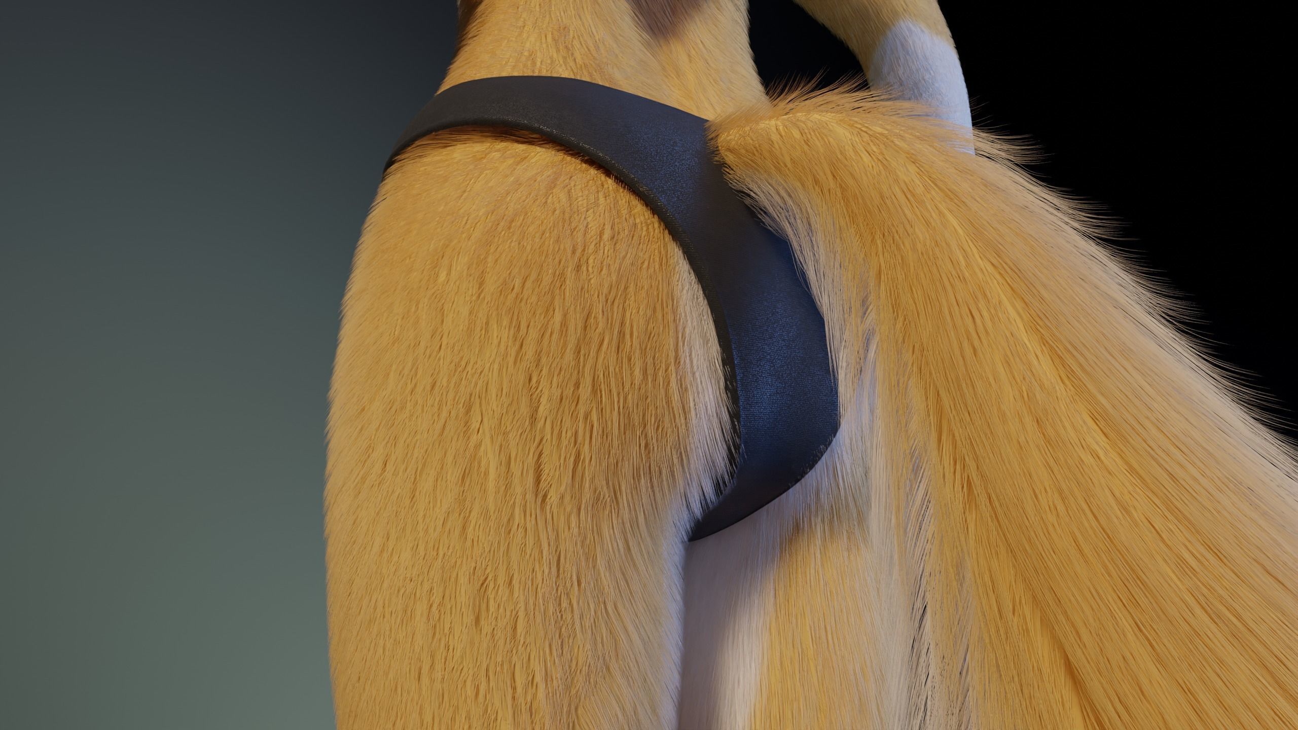 Nara Anthro Fox 3D model_22