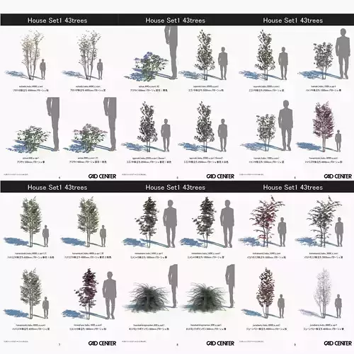 HouseSet1 43trees 3D model