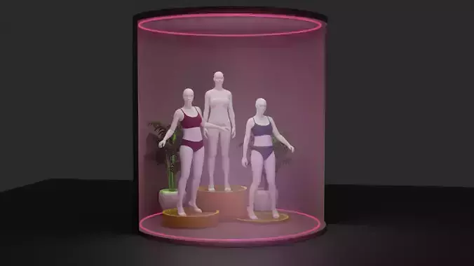 Mannequin Display