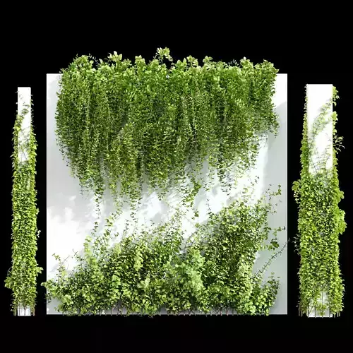 Wall Artificial Hanging Plants and Plants Hanging On Pillars 3D model