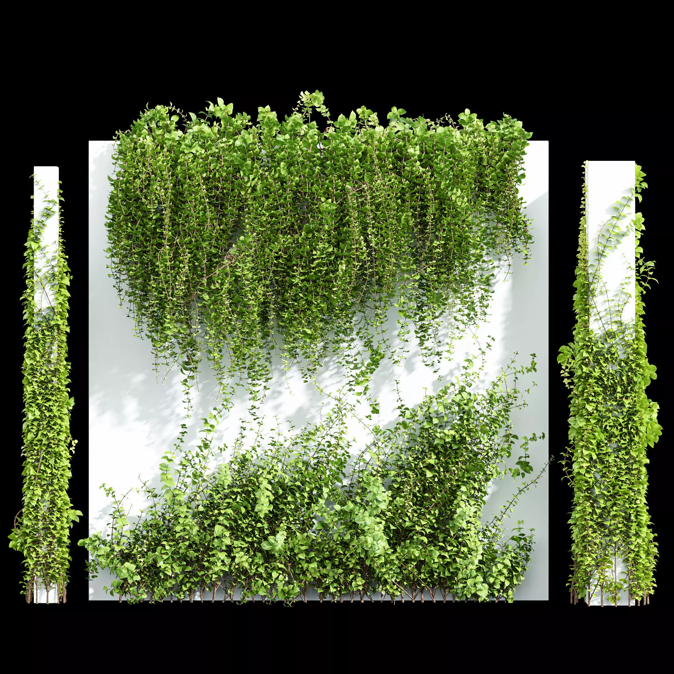 Wall Artificial Hanging Plants and Plants Hanging On Pillars 3D model_0