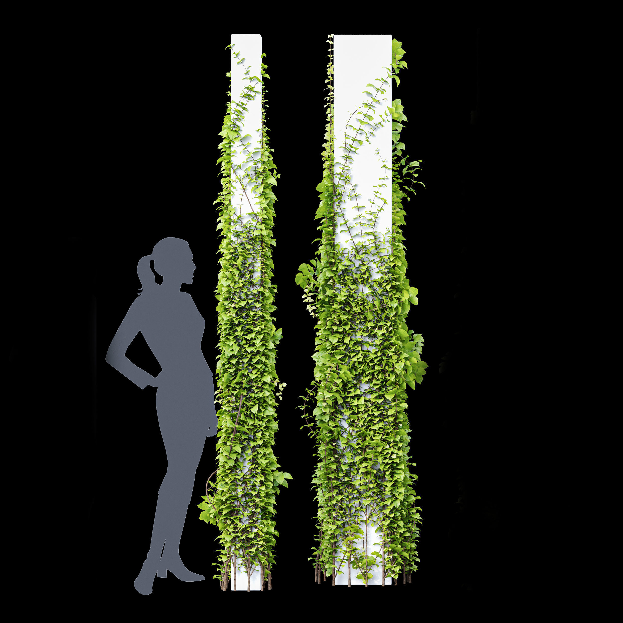 Wall Artificial Hanging Plants and Plants Hanging On Pillars 3D model_5