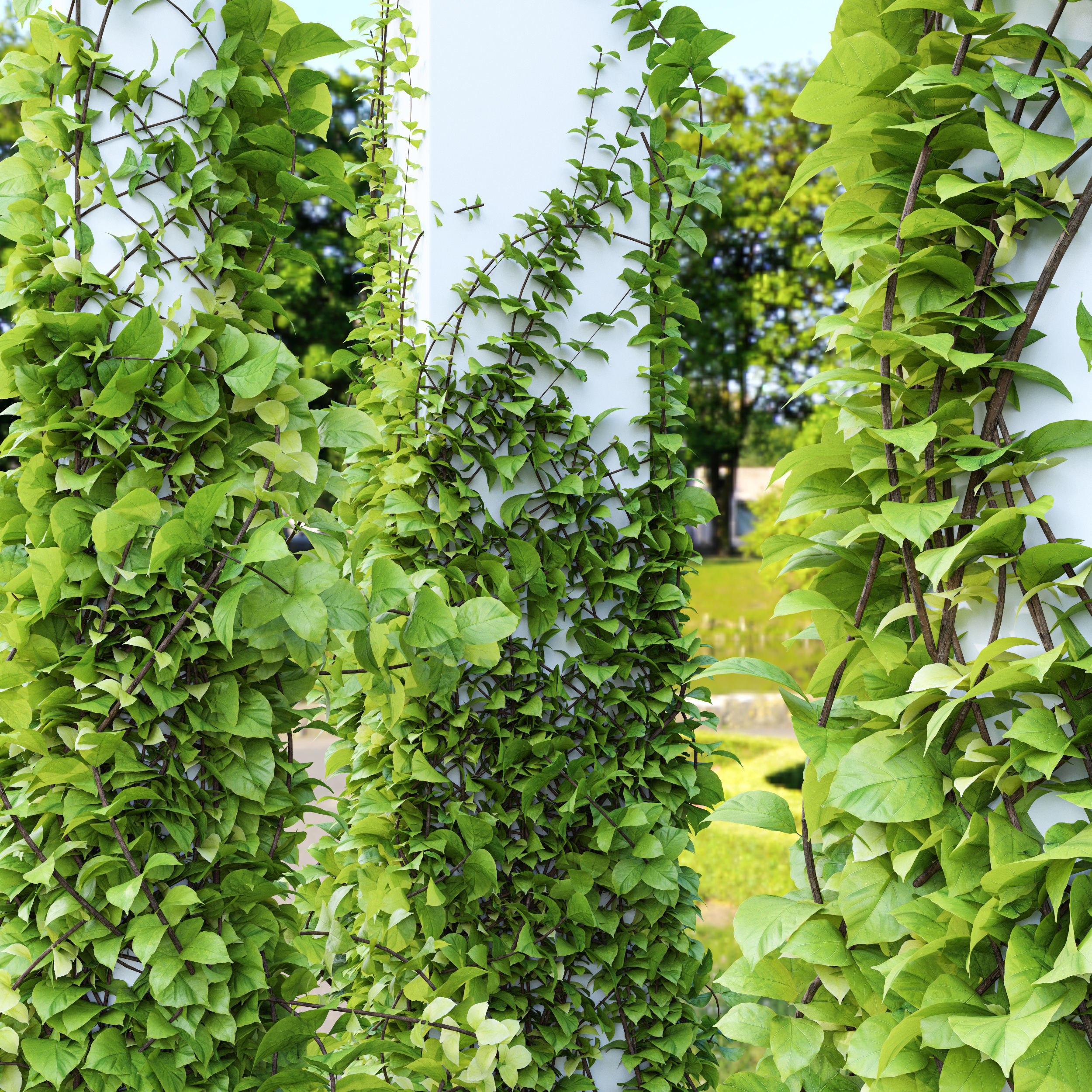 Wall Artificial Hanging Plants and Plants Hanging On Pillars 3D model_2