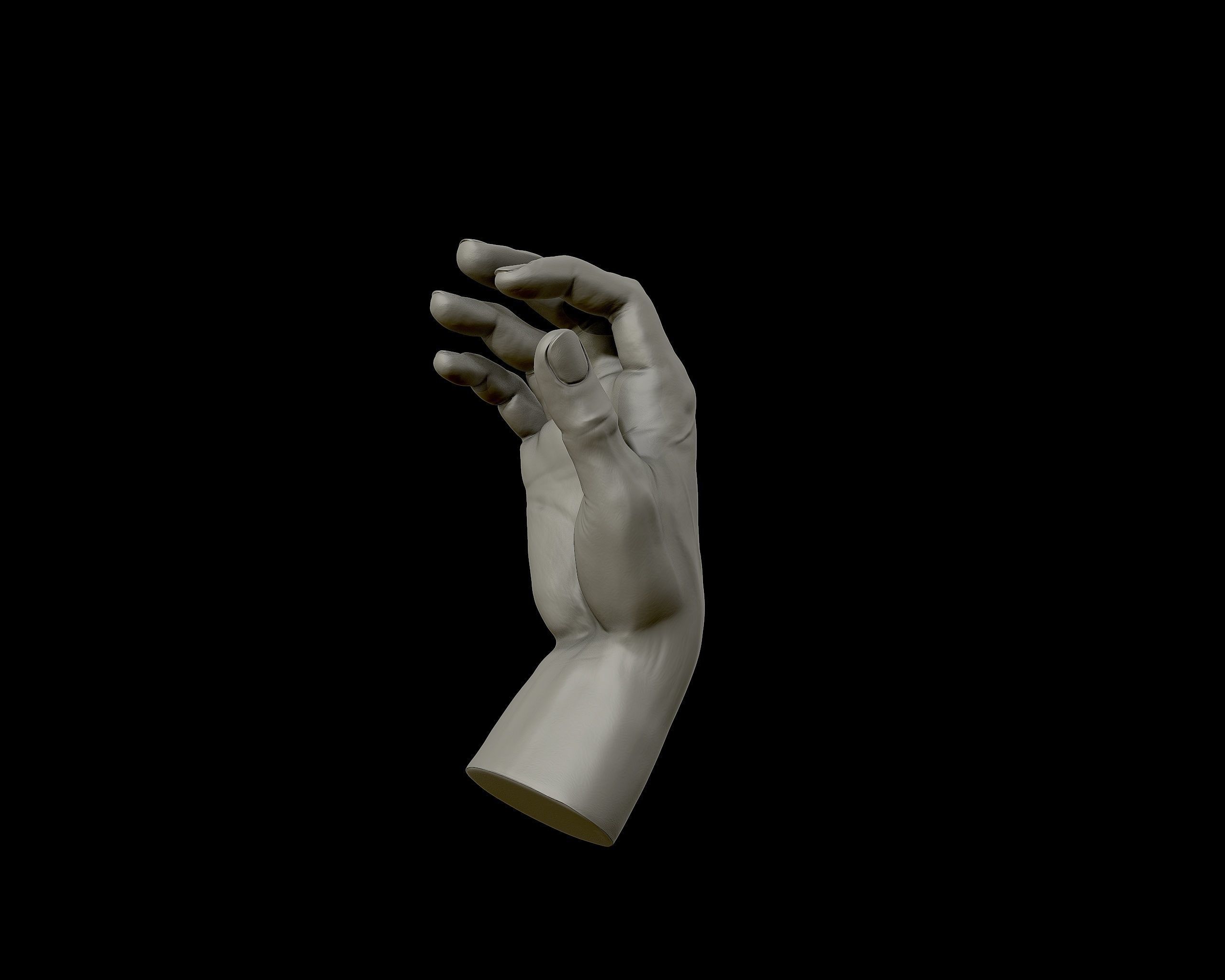 Hands anatomy collection 3D print model_21
