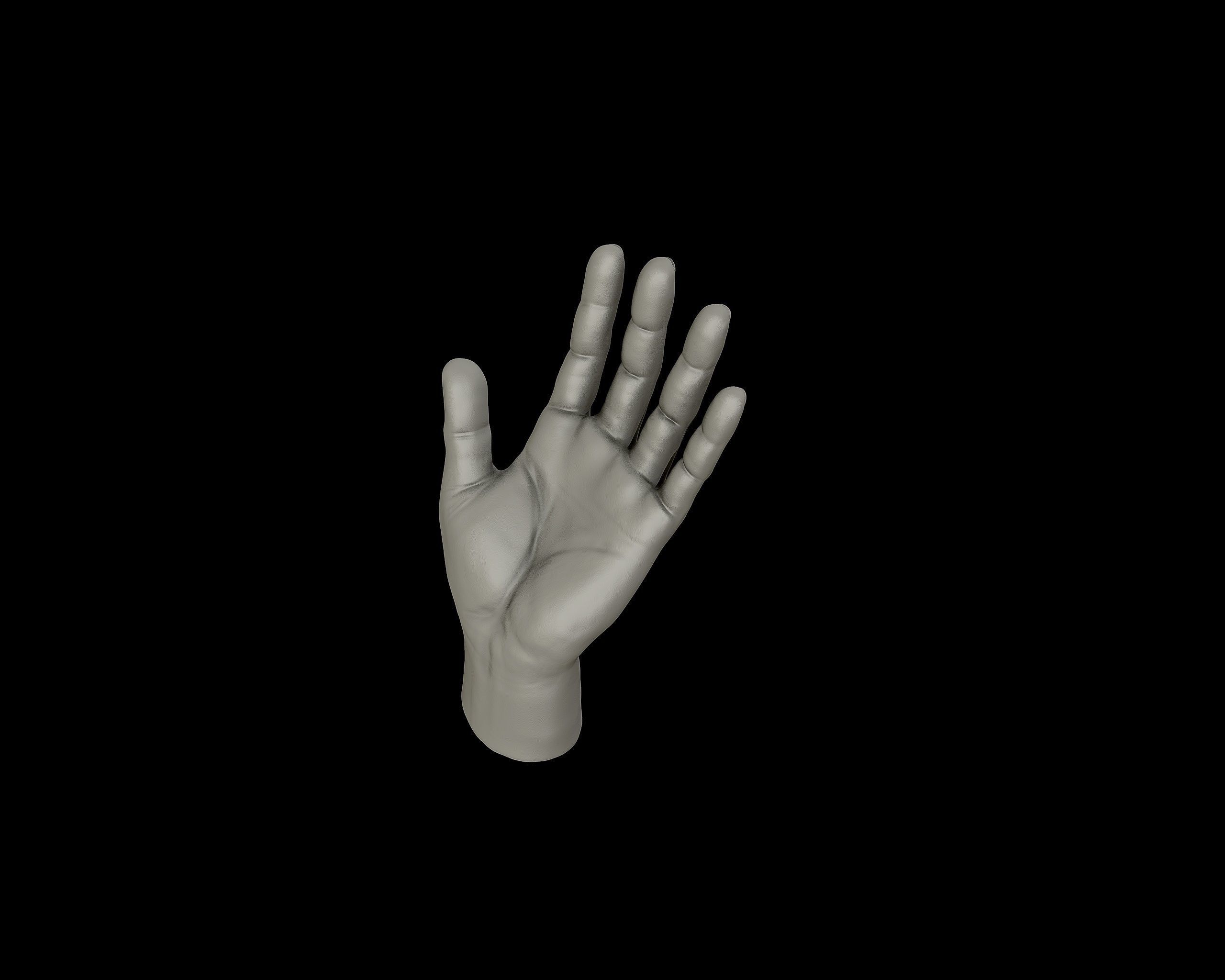 Hands anatomy collection 3D print model_16
