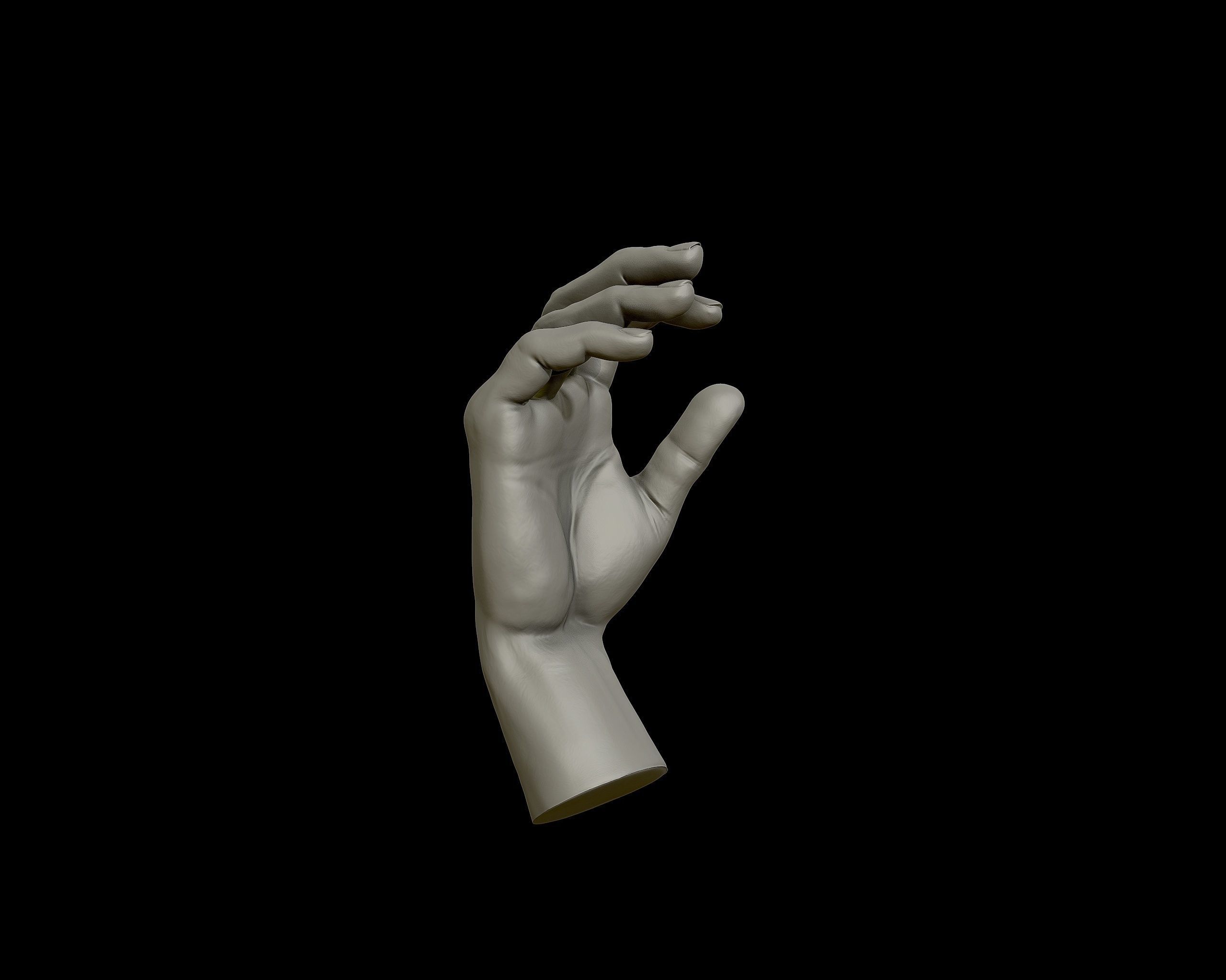 Hands anatomy collection 3D print model_23